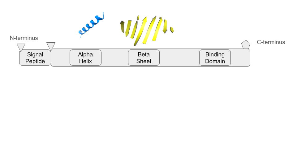Figure 6.13 – Protein structure overview