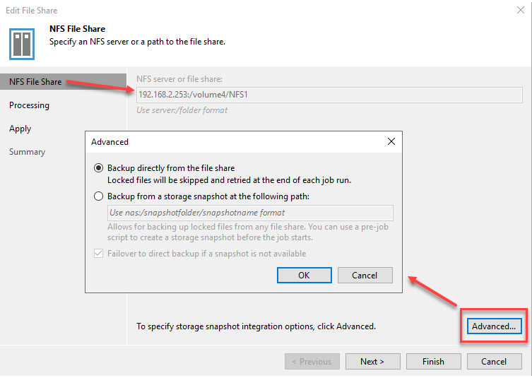 Figure 7.2 – The NFS File Share input and the Advanced options