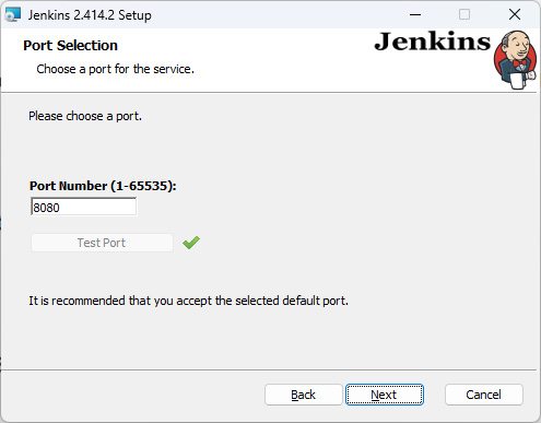 Figure 15.5 – Using the default port of 8080 and testing that we get a green checkmark