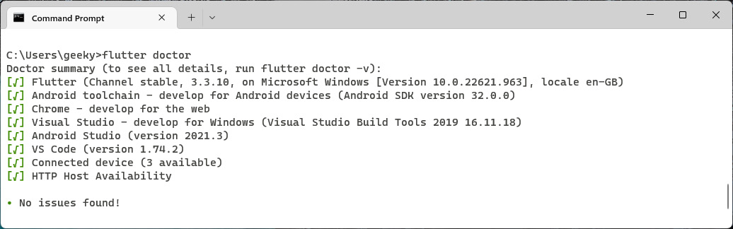 Figure 1.2 – flutter doctor command-line output