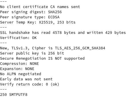 Figure 7.34 – Initial TLS handshake with a Gmail SMTP server