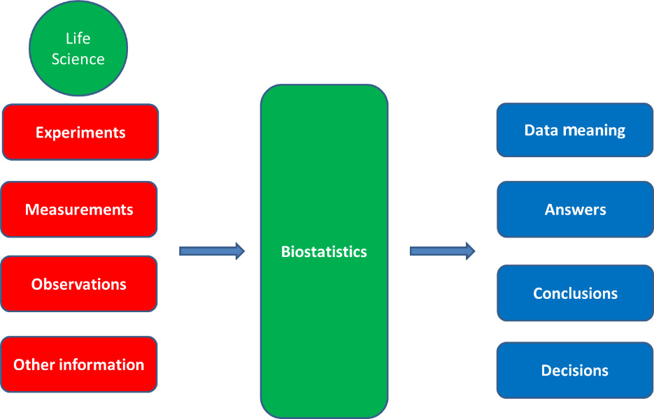 Figure 1.3 – Biostatistics workflow