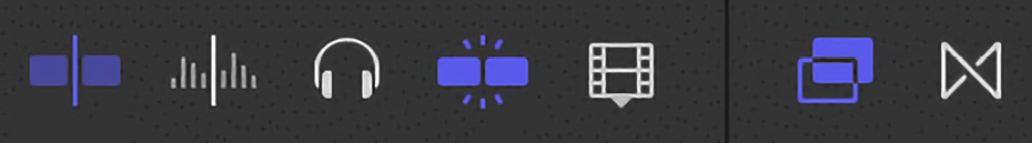 Figure 1.8: These buttons, to the right of the main gray bar, provide toggle switches and display options