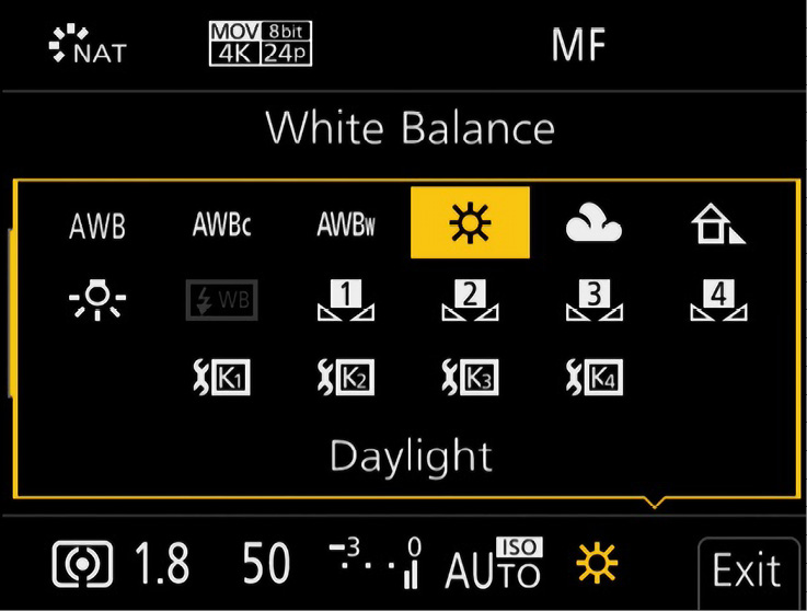 Figure 2.5: The Panasonic GH5 white balance menu