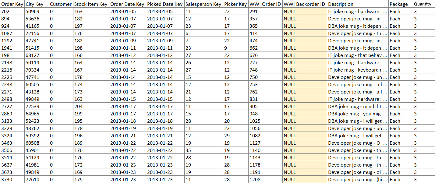 Figure 1.2 – Sample data and columns from the Fact.Order query