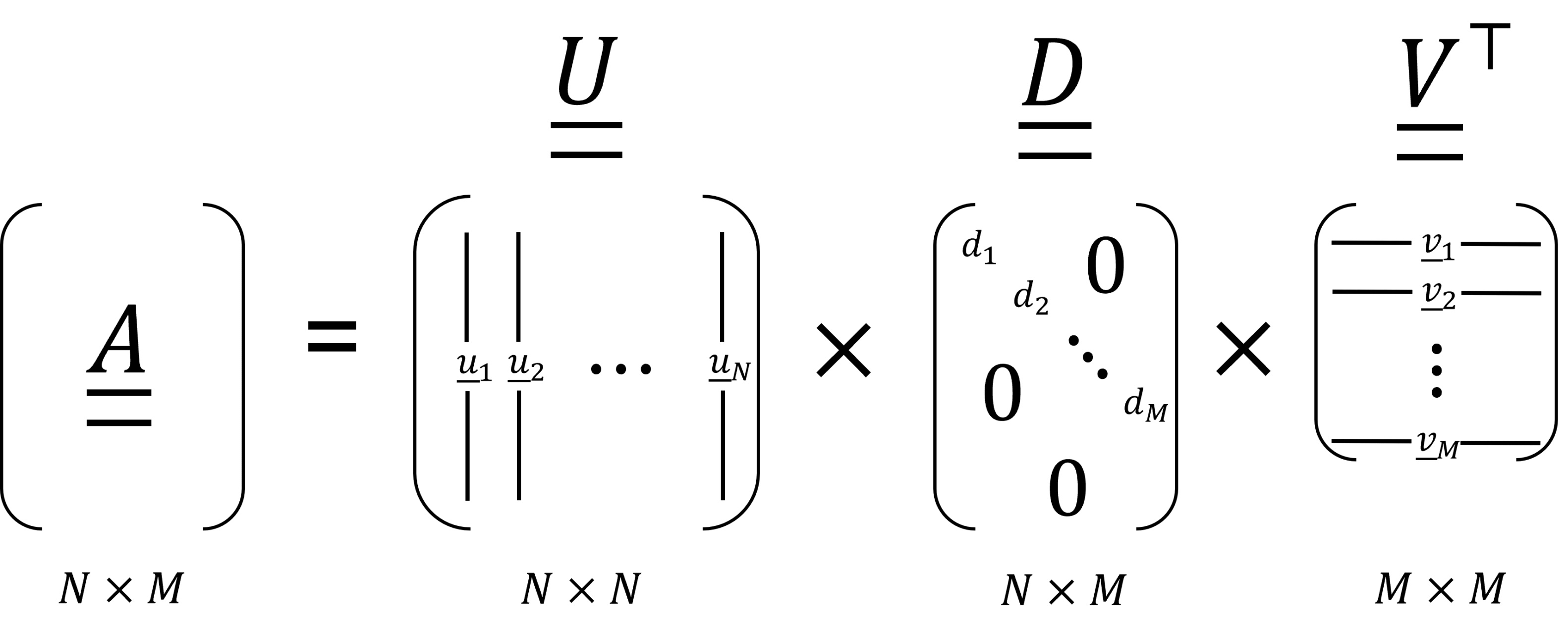 Figure 3.5: The SVD of a real-valued matrix