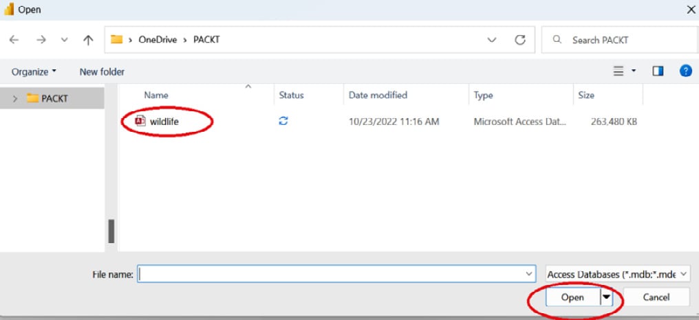 Figure 1.3 – The wildlife file shows up in Power BI