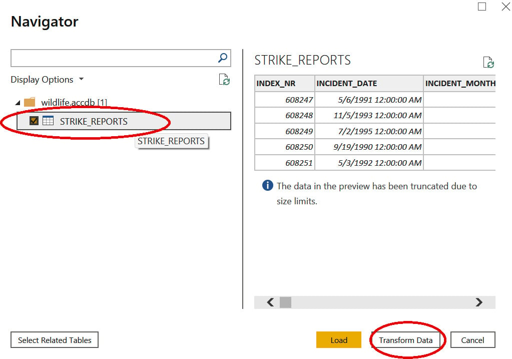 Figure 1.4 – Preview of the data before making transformations