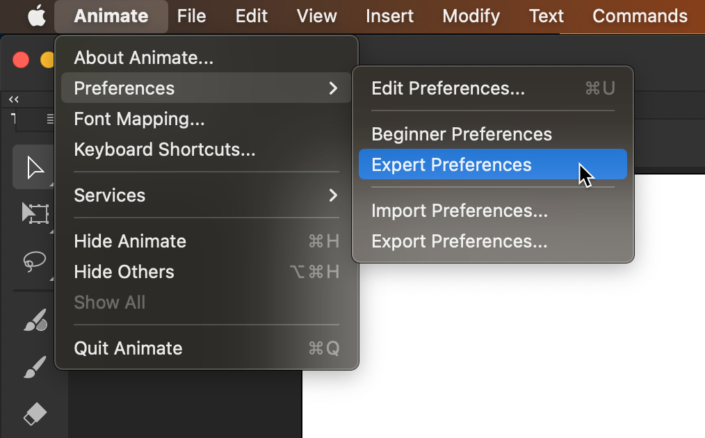 Figure 1.17 – Switching to Expert Preferences