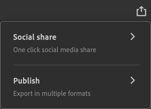 Figure 1.27 – The Social share and Publish options