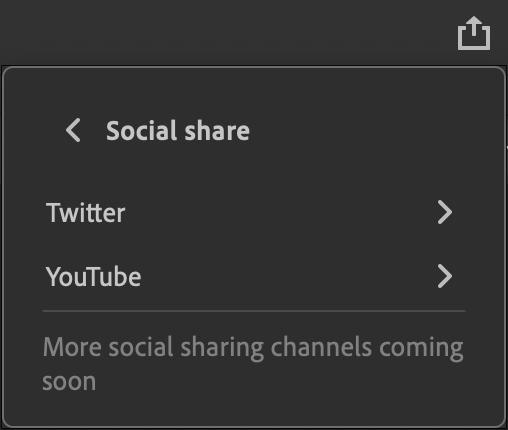 Figure 1.28 – The Social share options