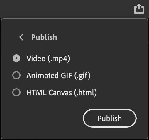 Figure 1.29 – The Quick Publish options for HTML5 Canvas