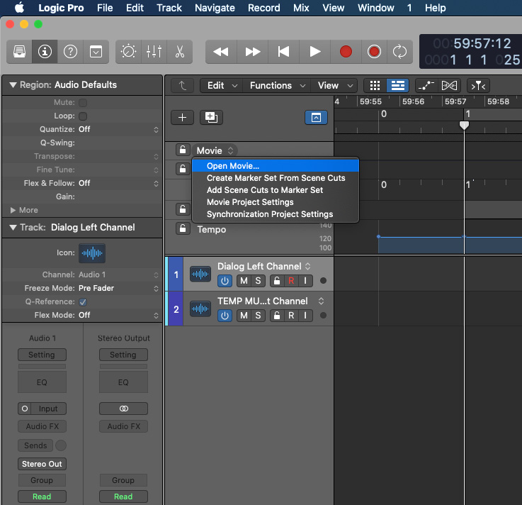 Figure 4.7: Opening a movie in Global Tracks