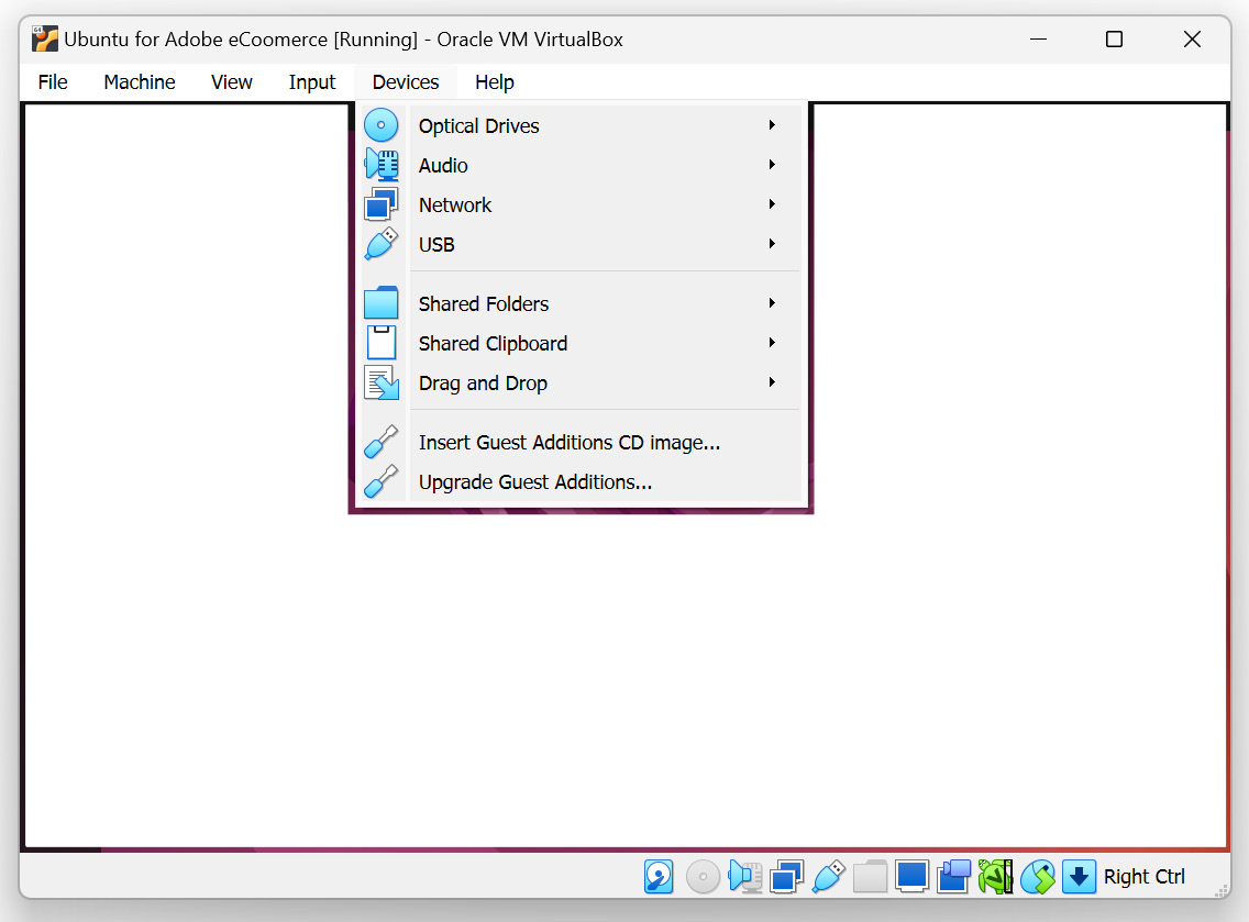 Figure 1.11 – Mounting the Guest Additions ISO image