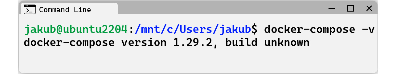 Figure 1.19 – Running the docker-compose command