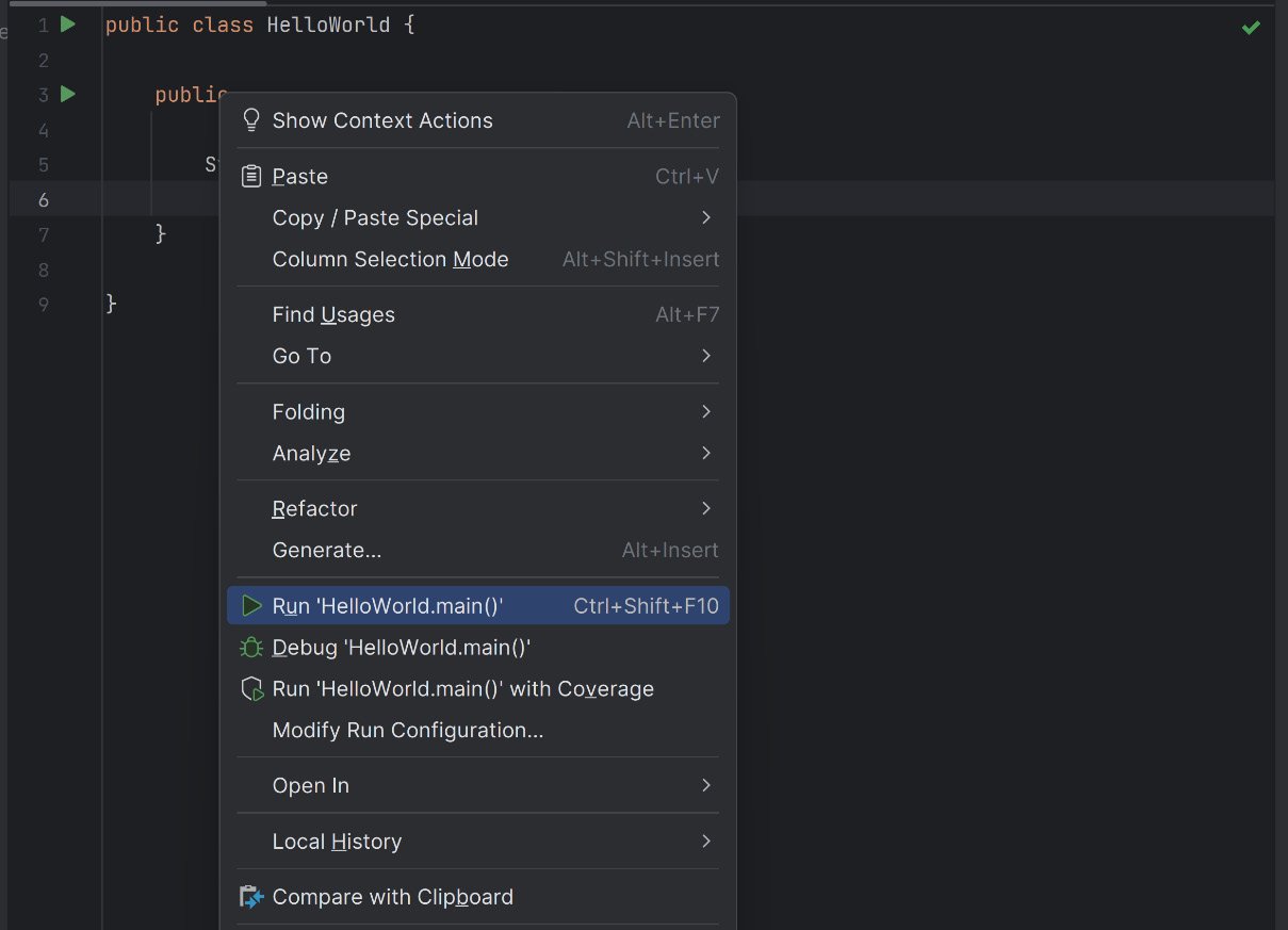 Figure 1.12 – Running the program