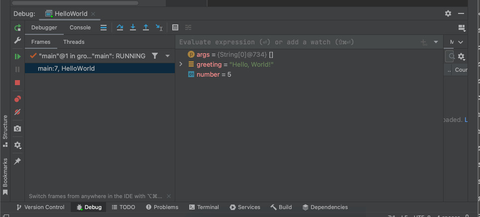 Figure 1.15 – Debug tool window in IntelliJ﻿. The intent of this screenshot is to show the layout and text readability is not required.