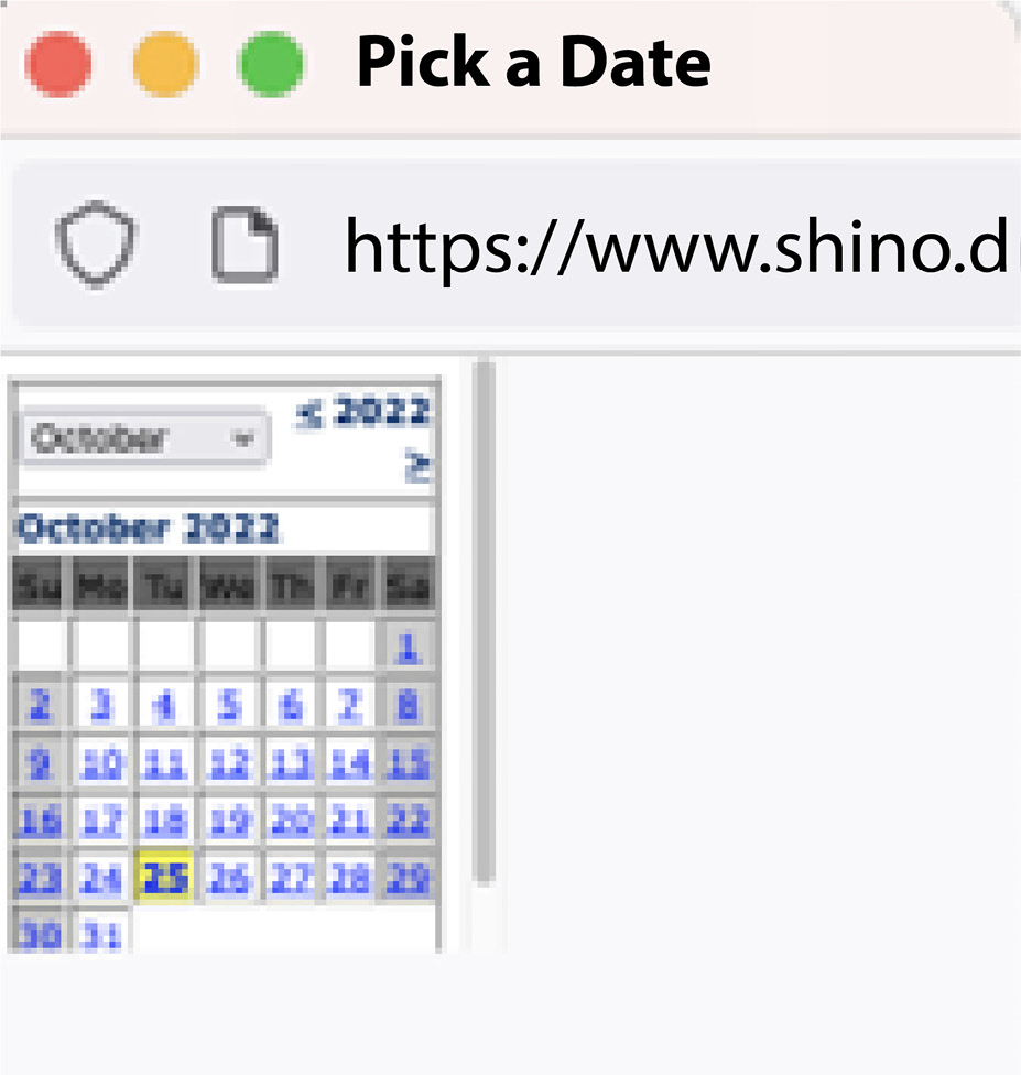 Figure 1.5 – Highlighted date picker