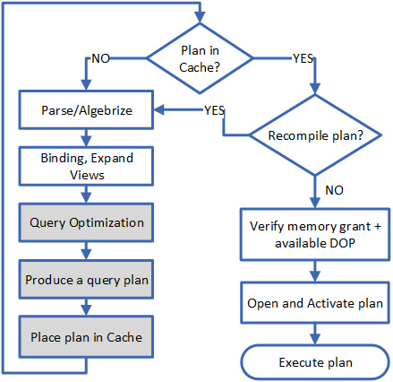 Figure 1.5: States of query processing related to query optimization