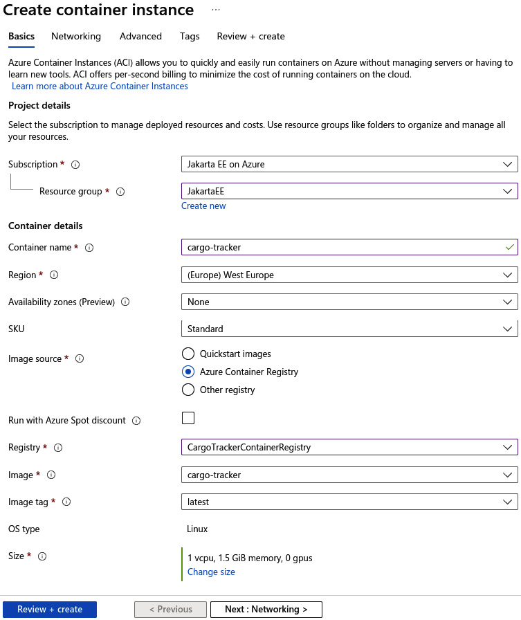 Figure 9.12 – Overview of the basics of the container instance