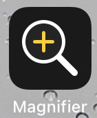 Figure 2.1 – The Magnifier app
