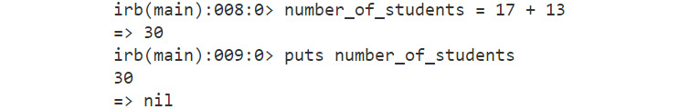 Figure 1.4: Output for assigning variables
