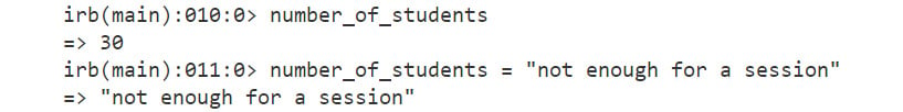 Figure 1.5: The output for variables assigned to a different data type
