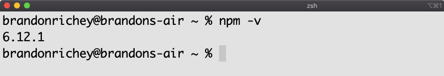Figure 1.3: Verifying the version of Node.js