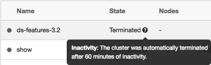 Figure 1.35 – A terminated cluster
