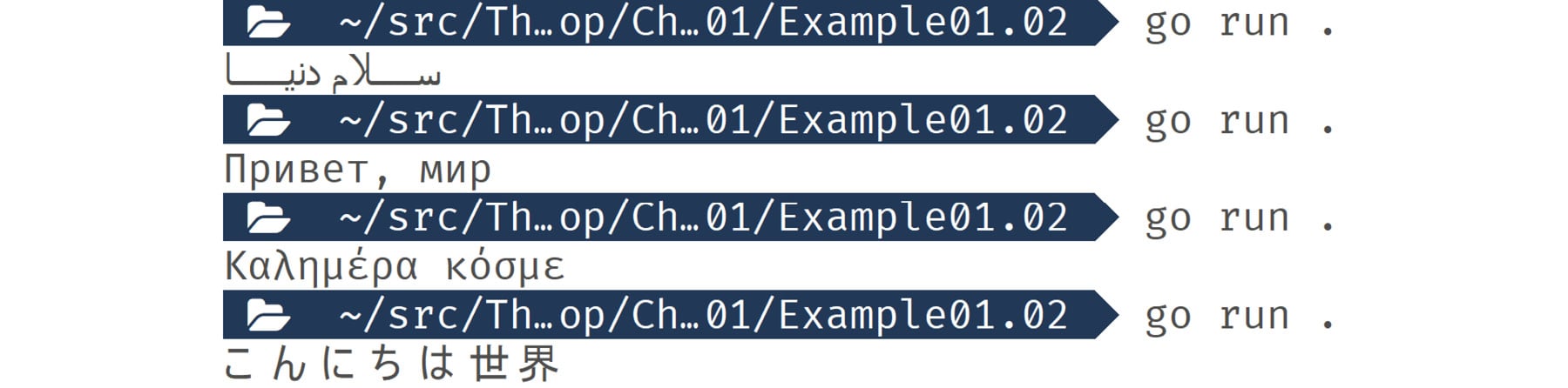 Figure 1.02: Output displaying valid values