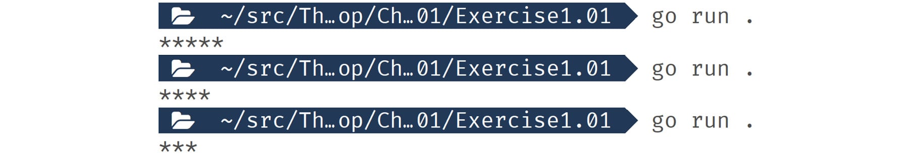 Figure 1.03: Output displaying stars