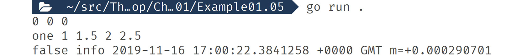 Figure 1.11: Output displaying variable values