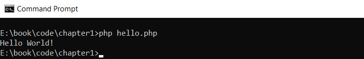 Figure 1.3: Printing output to the Terminal