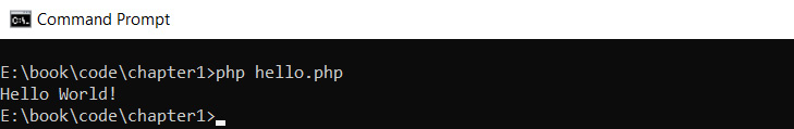 Figure 1.3: Printing output to the Terminal
