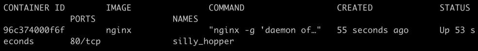 Figure 1.5: Getting a list of all the running Docker containers