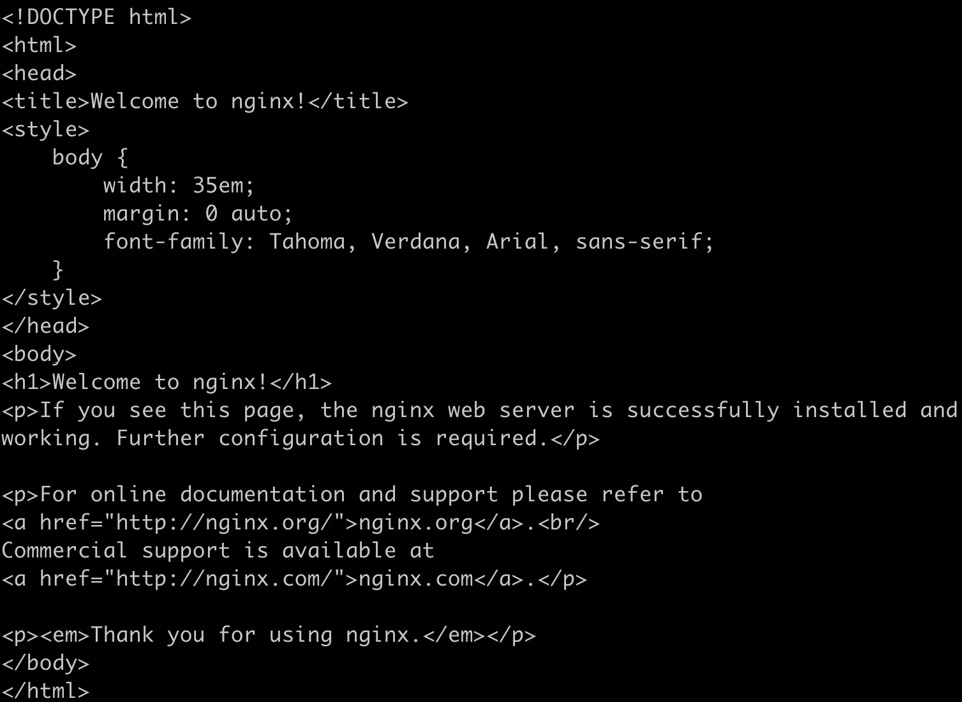 Figure 1.6: Response of the Nginx container