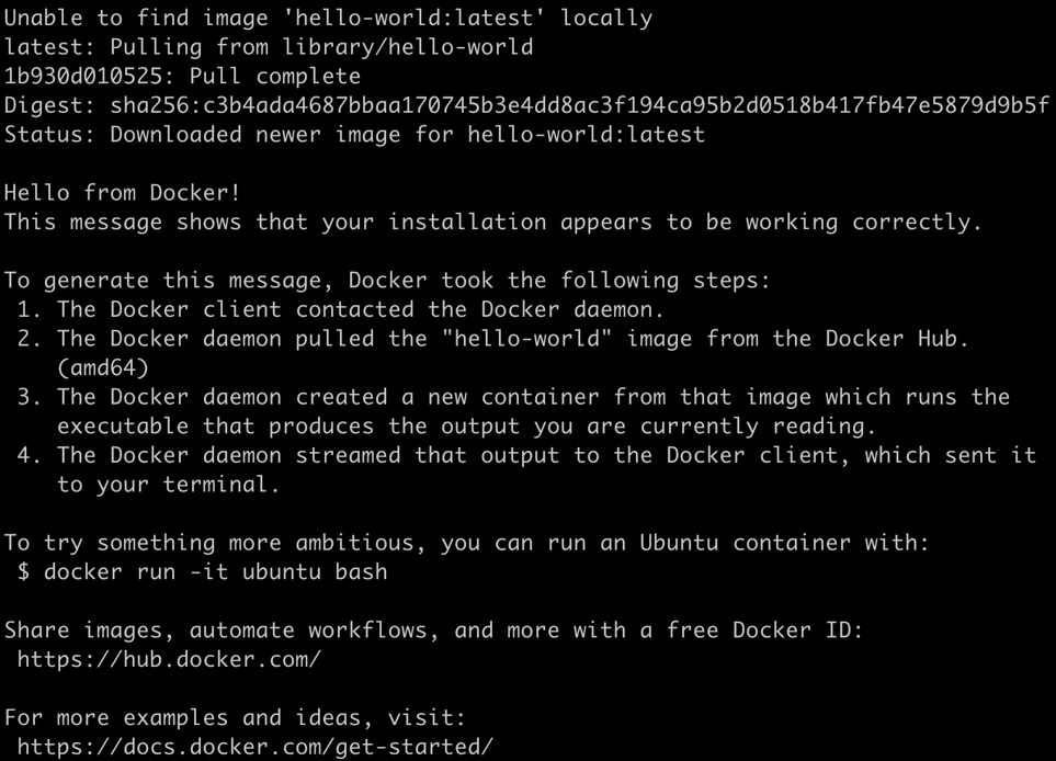 Figure 1.7: Running the hello-world image