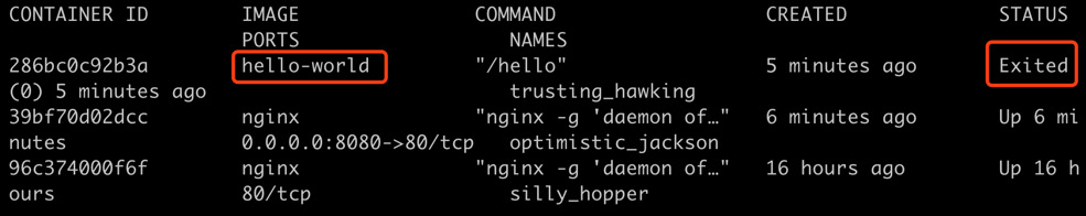 Figure 1.8: Checking our exited container
