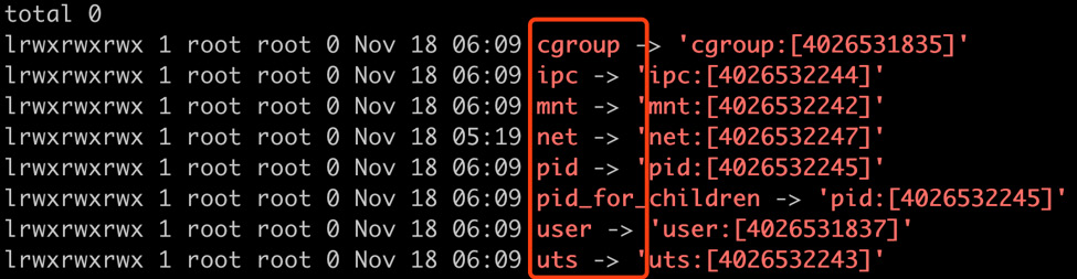 Figure 1.20: Listing the different namespaces created for our container
