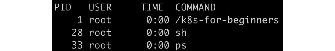 Figure 1.21: The list of processes inside our container
