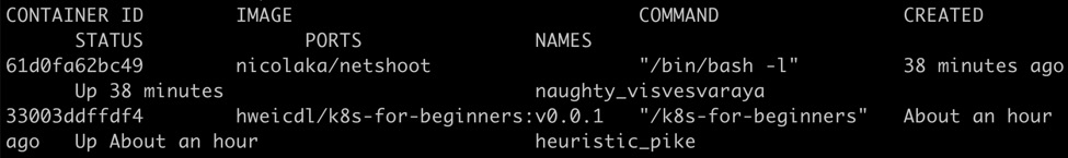 Figure 1.24: Checking whether both of the k8s-for-beginners and netshoot
containers are online