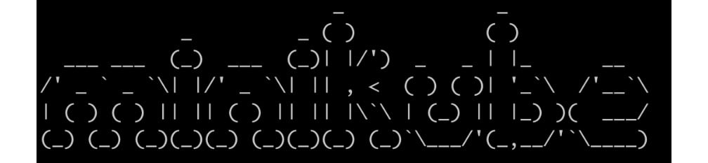 Figure 2.5: Accessing the Minikube VM via SSH
