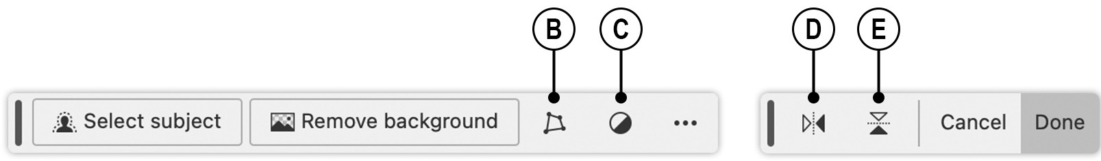 Figure 1.2: Transform and adjustment layer options in the Contextual Task Bar