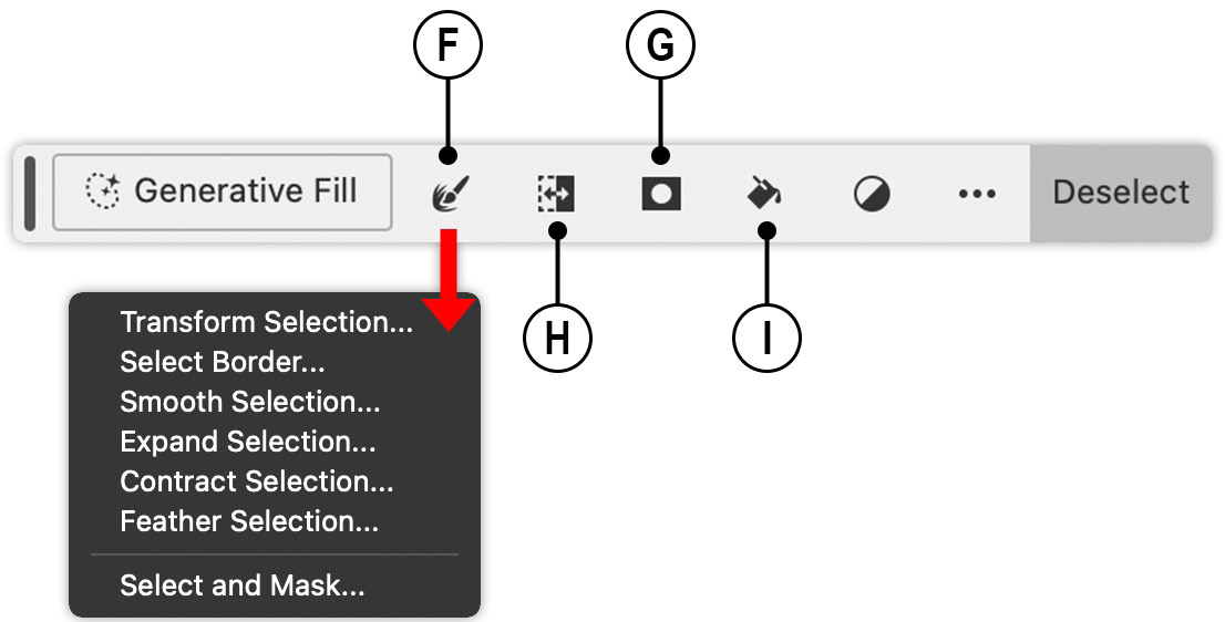 Figure 1.3: Selection options in the Contextual Task Bar