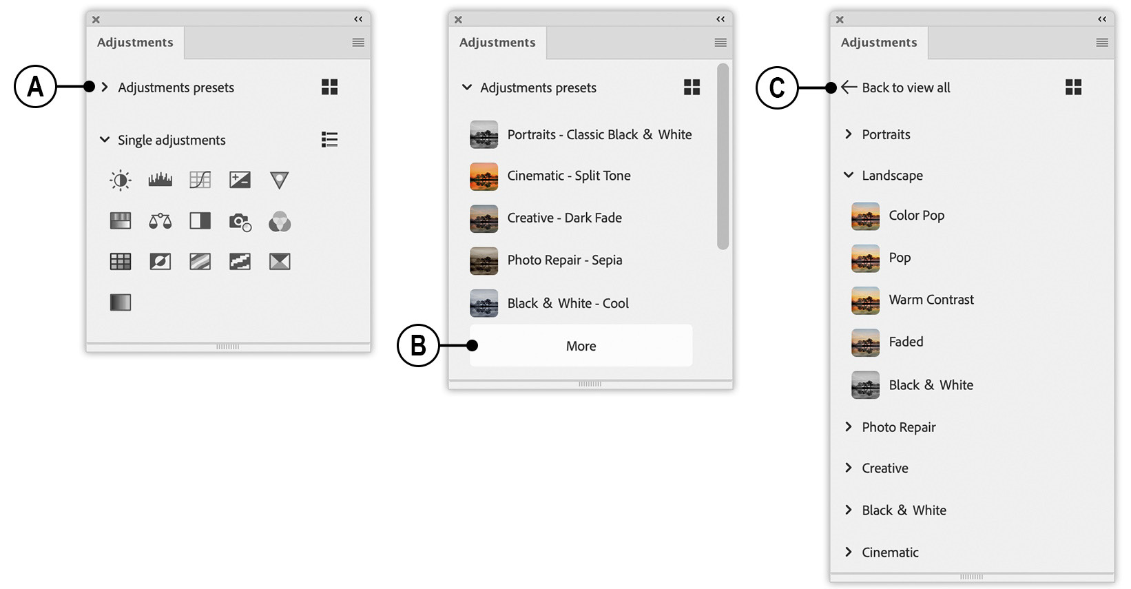 Figure 1.8: The Adjustments panel now includes presets