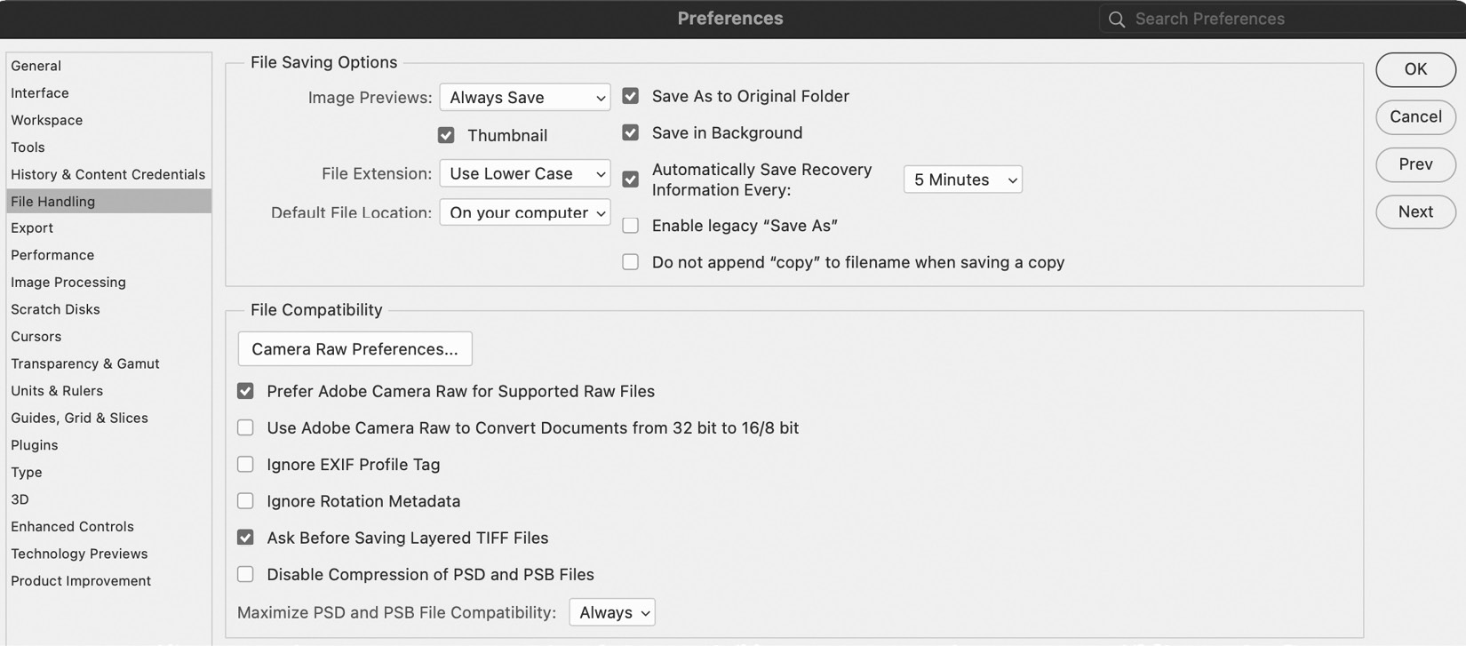 Figure 1.19: File Handling preferences