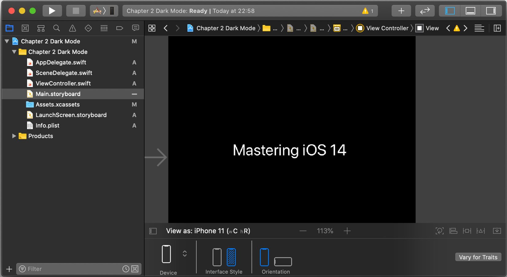 Figure 2.5 – Main storyboard – dark mode
