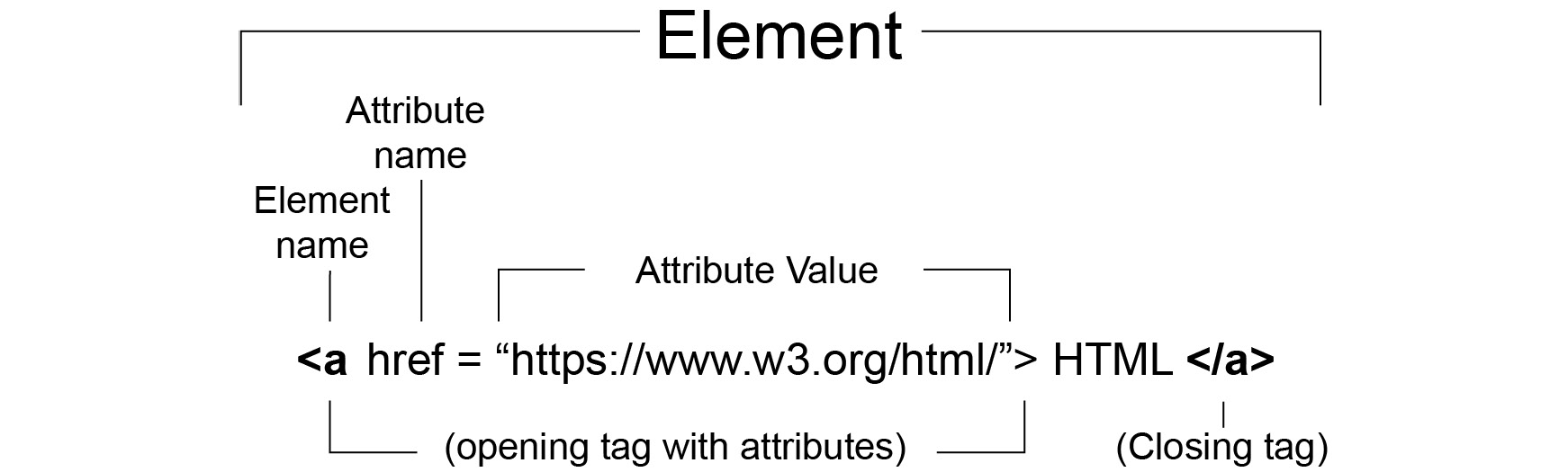 Figure 1.4: HTML element representation with tag attributes 
