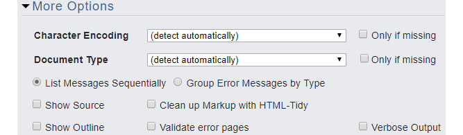 Figure 1.14: The More Options panel of the W3C's Markup Validation Service
