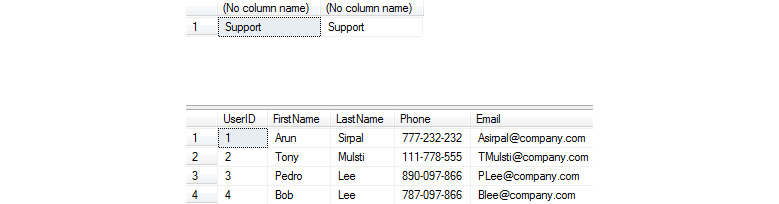 Figure 2.38: Table with data unmasked
